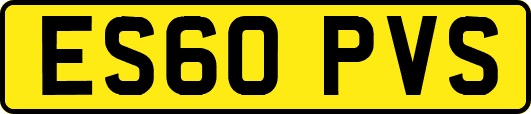 ES60PVS
