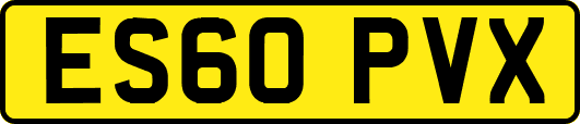 ES60PVX