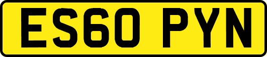 ES60PYN