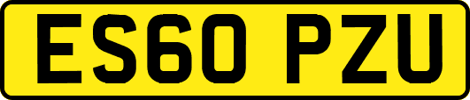 ES60PZU