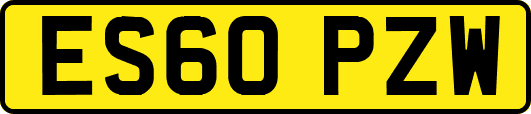 ES60PZW