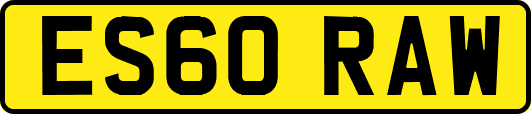 ES60RAW