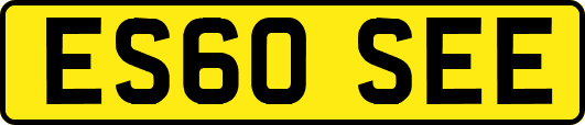 ES60SEE