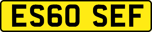 ES60SEF