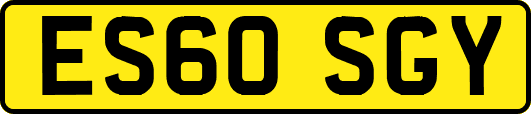 ES60SGY