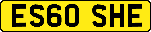 ES60SHE