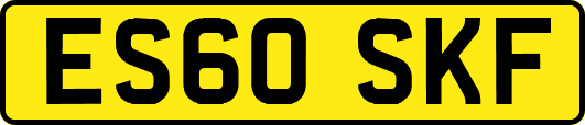 ES60SKF