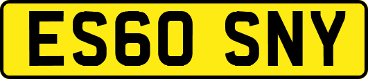 ES60SNY