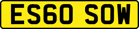 ES60SOW