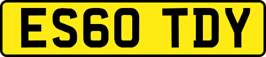 ES60TDY