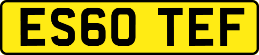 ES60TEF