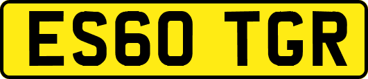 ES60TGR
