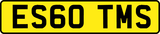 ES60TMS