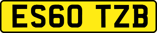 ES60TZB