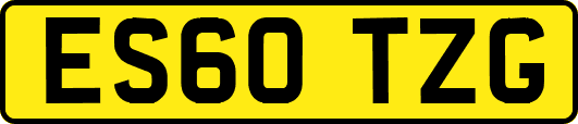 ES60TZG
