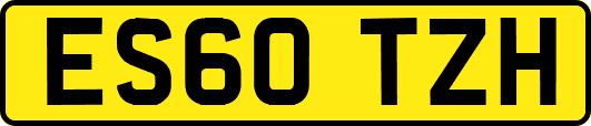 ES60TZH
