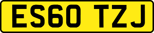 ES60TZJ