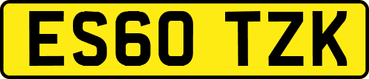 ES60TZK