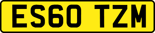 ES60TZM