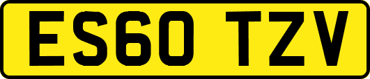 ES60TZV