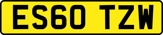 ES60TZW