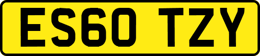 ES60TZY