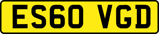 ES60VGD