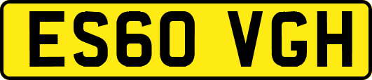 ES60VGH