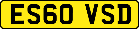 ES60VSD