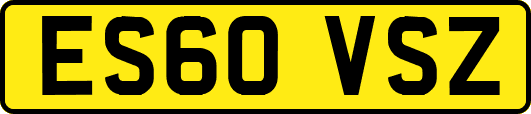 ES60VSZ