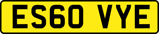 ES60VYE