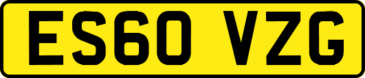 ES60VZG