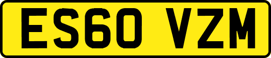 ES60VZM