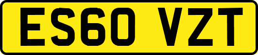 ES60VZT