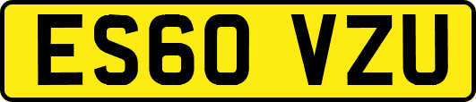 ES60VZU
