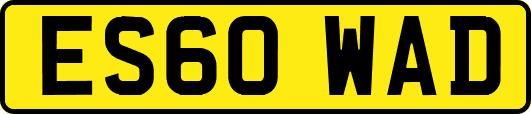 ES60WAD