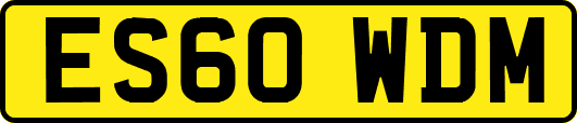 ES60WDM
