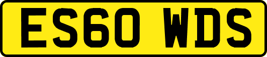 ES60WDS