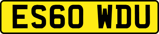 ES60WDU