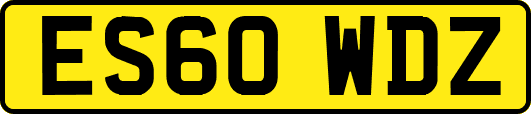 ES60WDZ