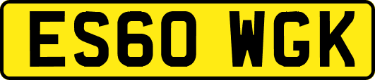 ES60WGK