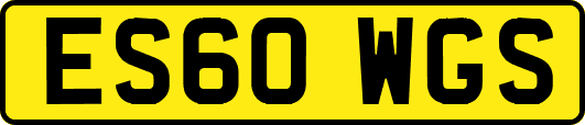 ES60WGS