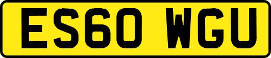 ES60WGU