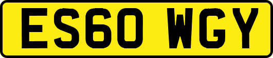 ES60WGY