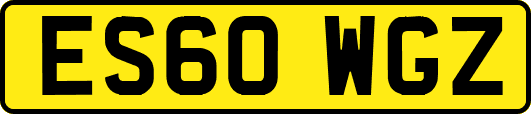 ES60WGZ