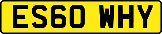 ES60WHY