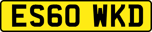ES60WKD