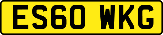 ES60WKG