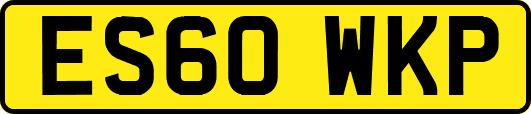 ES60WKP