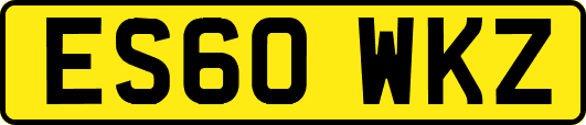 ES60WKZ
